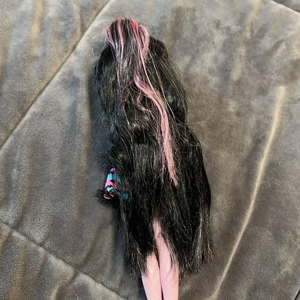 Monster High Draculaura 2015 Party Hair Doll Mattel